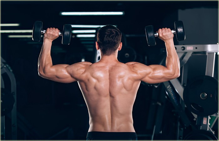 Understanding the Muscle Growth