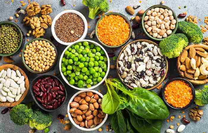 Wellhealthorganic.Com:vegetarian Protein Sources